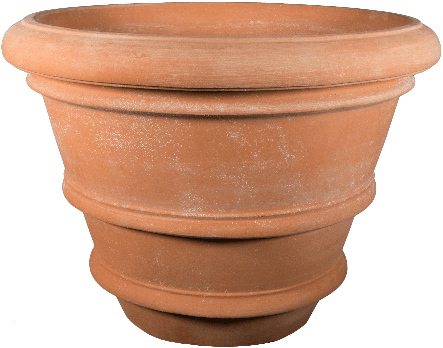 310 vaso orlato
