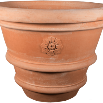 vaso orlato con rosetta