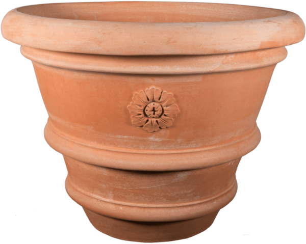 vaso orlato con rosetta